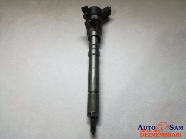 Injector 0445110101 Hyundai Santa Fe 2.0 crdi Bosch