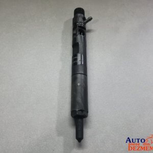 Injector EJBR01801A Renault Scenic 2 1.5 dci euro 3 Delphi