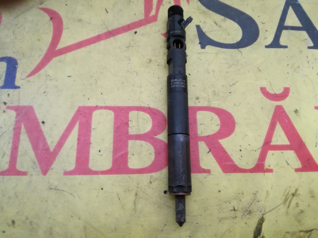 Injector Kia Carnival II 2.9CRDI delphi COD ejbr02901d